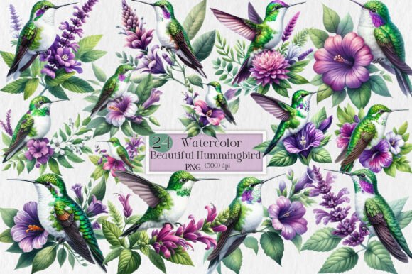 Download Beautiful Hummingbird Watercolor Clipart - Hummingbird Collection